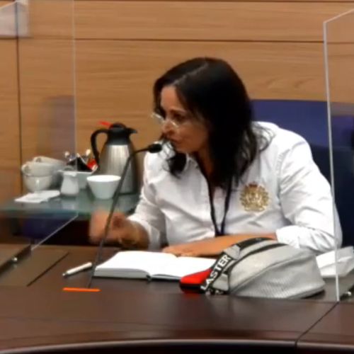 עפרה אברמוביץ , יו"ר מאמאנט מייצגת בכבוד את ליגת האמהות בדיון בכנסת