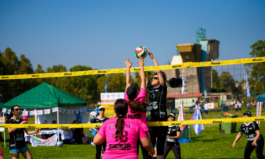 על משחק הכדורשת על משחק הכדורשת